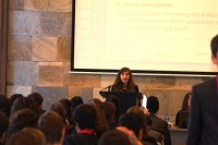 Georgia making an amendment.JPG